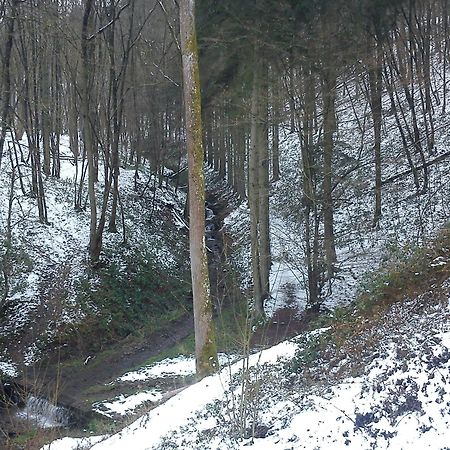 Arduena - Het Ardennetje Villa Blaimont Buitenkant foto