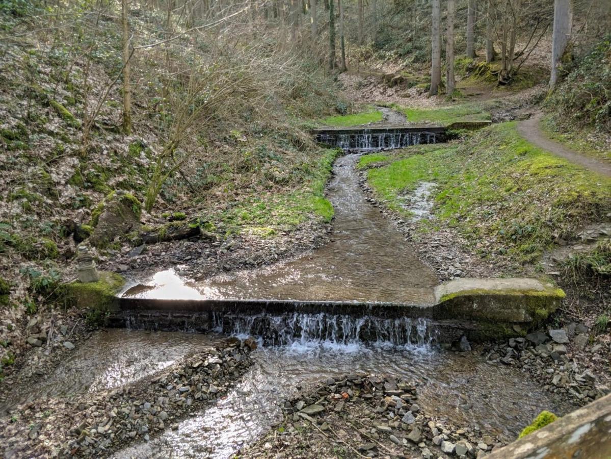 Arduena - Het Ardennetje Villa Blaimont Buitenkant foto