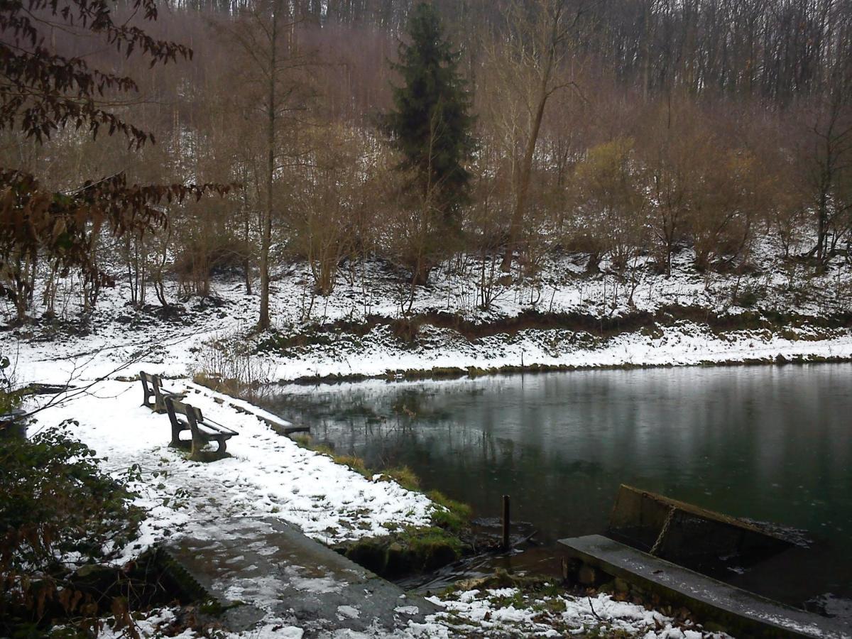 Arduena - Het Ardennetje Villa Blaimont Buitenkant foto